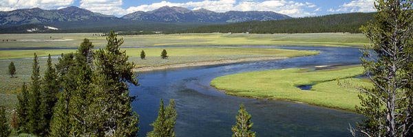 Yellowstone: Zweithöchste Besucherzahlen im Juli