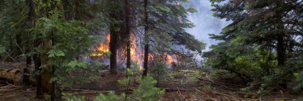 Yosemite: Waldbrand bei El Portal