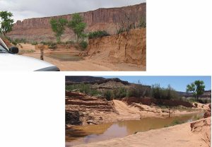 Überschwemmter Abschnitt der White Rim Road am Upheaval Wash. Foto: NPS