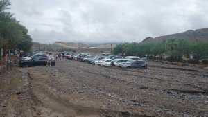 Im Schlamm versunkene Autos am Inn im Death Valley National Park. Foto: NPS