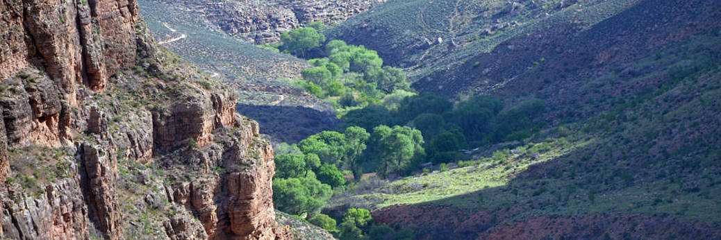 Grand Canyon: Indian Garden heißt nun Havasupai Gardens