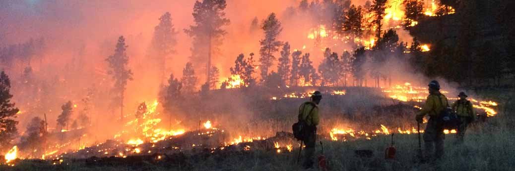 Kalifornien: 40 Tote bei Waldbränden