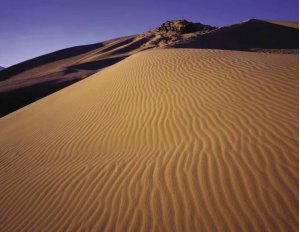 Düne in der Little Sahara Recreation Area. Foto: BLM