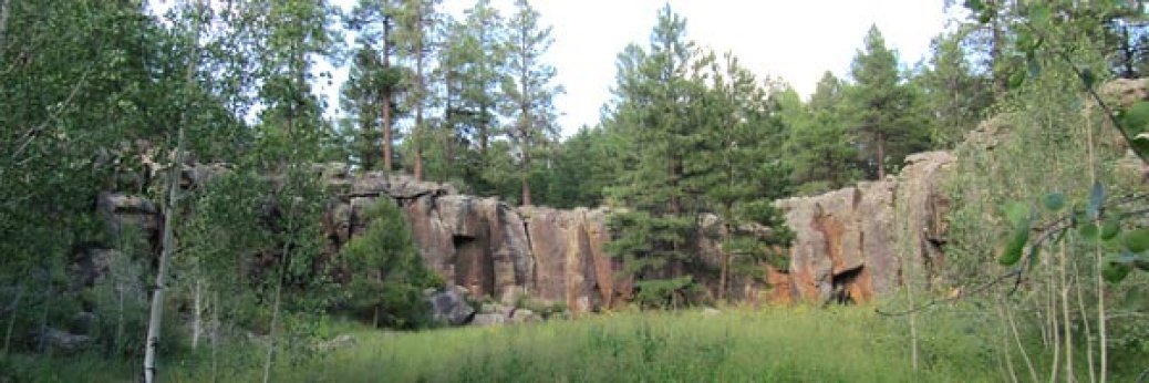 Williams: Petroglyphen beschädigt