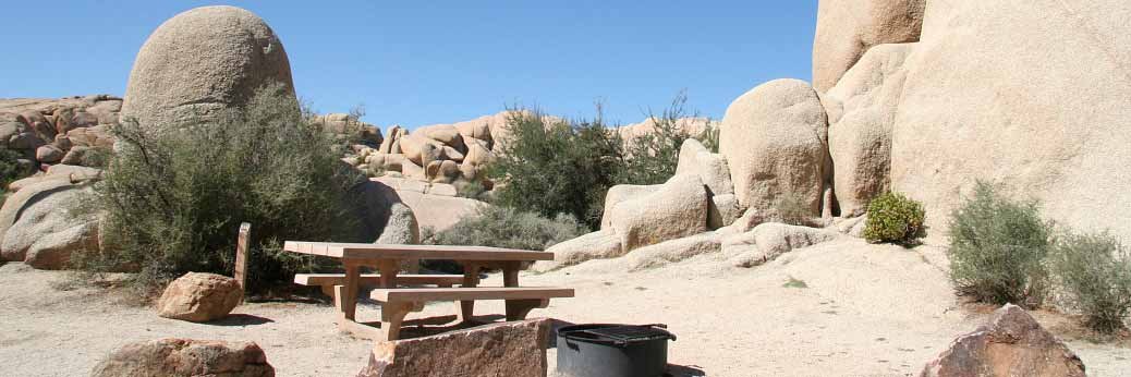 Joshua Tree: Sechs Campgrounds saisonbedingt geschlossen