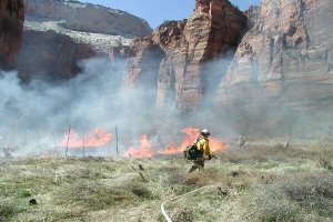 Ein Prescribed Fire im Zion (Weeping Rock Fire von 2002). Foto: NPS