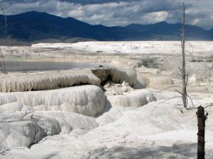 Mammoth Hot Springs. Foto: Stefan Schwach