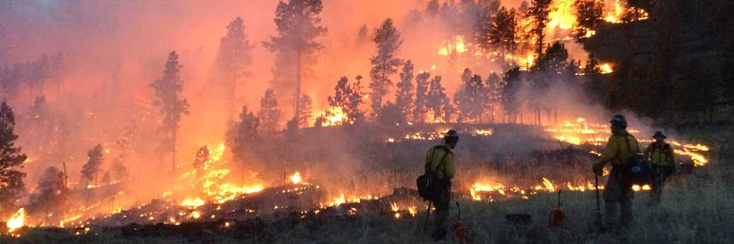 Zion: Waldbrand am West Rim Trail