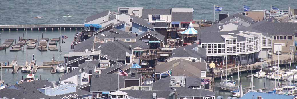 San Francisco: Seelöwen sind verschwunden