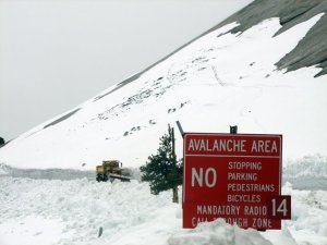 Schneepflug östlich des Olmsted Point. Foto: NPS