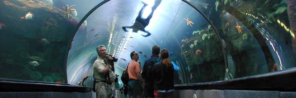 Phoenix: Sea Life Aquarium eröffnet