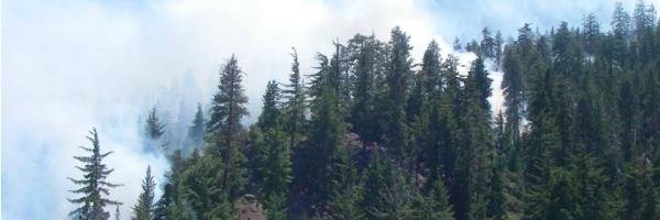 Kings Canyon: Waldbrand bei Cedar Grove wächst