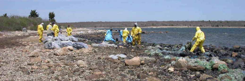 Santa Barbara: Ölpipelinebruch verseucht Strand