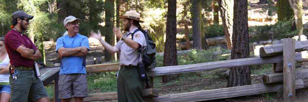 Teton und Yellowstone NP zählen zu den Meistbesuchten