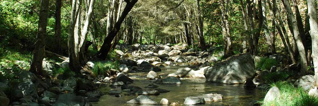 Monterey: Carmel River Park Way Projekt gefährdet