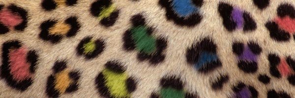 San Francisco: Zoo für homosexuelle Tiere geplant