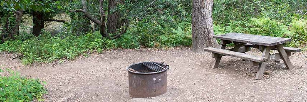 Kalifornien: Campgrounds aller State Parks geschlossen
