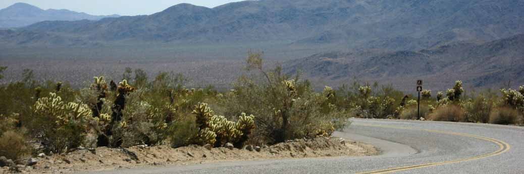 Joshua Tree: Pinto Basin Road wieder befahrbar