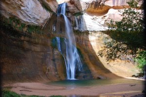 Leuchtend blaue und grüne Algen machen die 40 Meter hohen Calf  Creek Falls traumhaft schön. Foto: Michael Schlebach