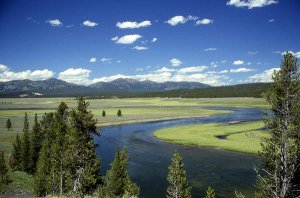 Yellowstone River im Hayden Valley. Foto: wikipedia
