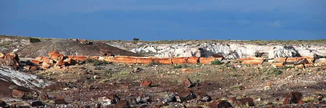 Petrified Forest: Umfangreiche Renovierungen geplant