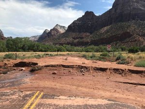 Sturmschäden vom 11.07.2018 an der Watchman Road im Zion National Park. Foto: Krystina Carpenter / NPS