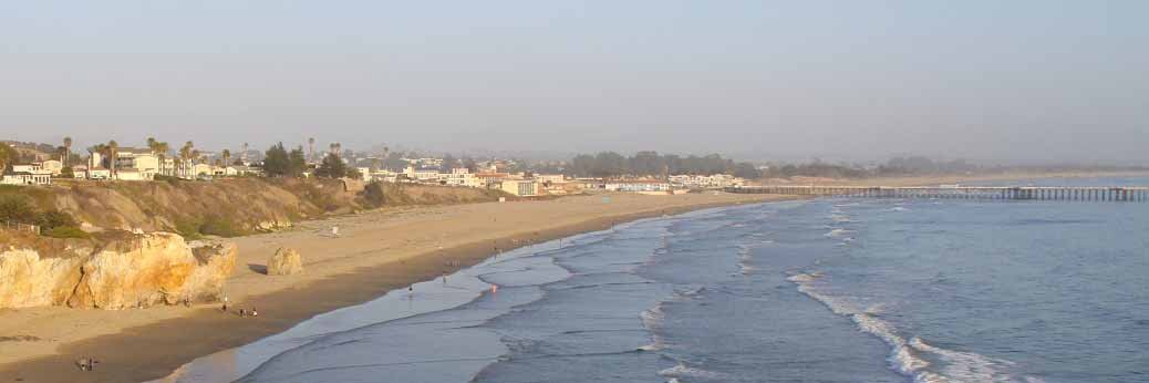 Pismo Beach: Schmetterlinge sind zurück