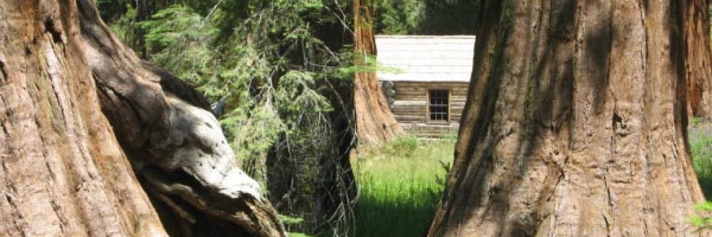 Yosemite: Mariposa Grove öffnet wieder am 15. Juni