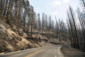 Highway 41 nördlich von Chinquapin am 10.08.2018. Foto: Stuary Palley / USFS