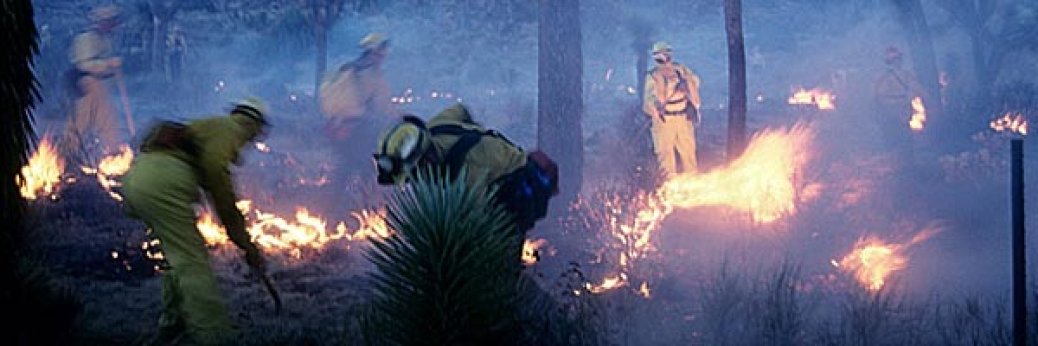 Joshua Tree: Feuer bei Keys View