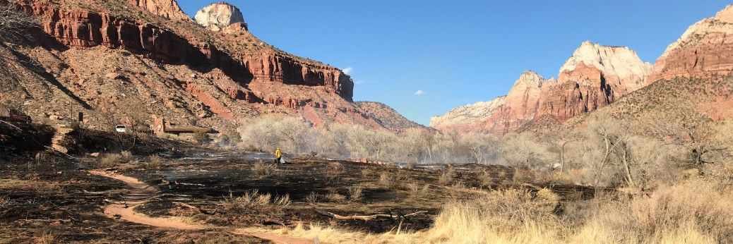 Zion: Waldbrand nahe Parkeingang und South Campground gelöscht