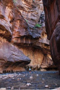 In den Zion Narrows. Foto: Michael Schlebach