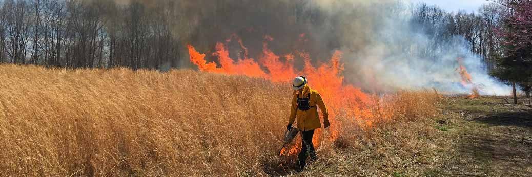 Zion: Kontrollierter Waldbrand ab 16.04.