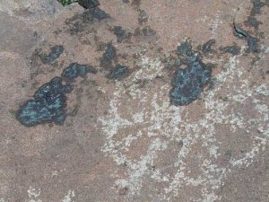 Beschädigte Petroglyphen im Grapevine Canyon. Foto: NPS