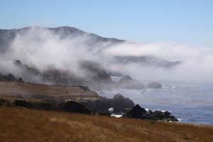 Garrapata State Park im Nebel. Foto: Stefan Kremer